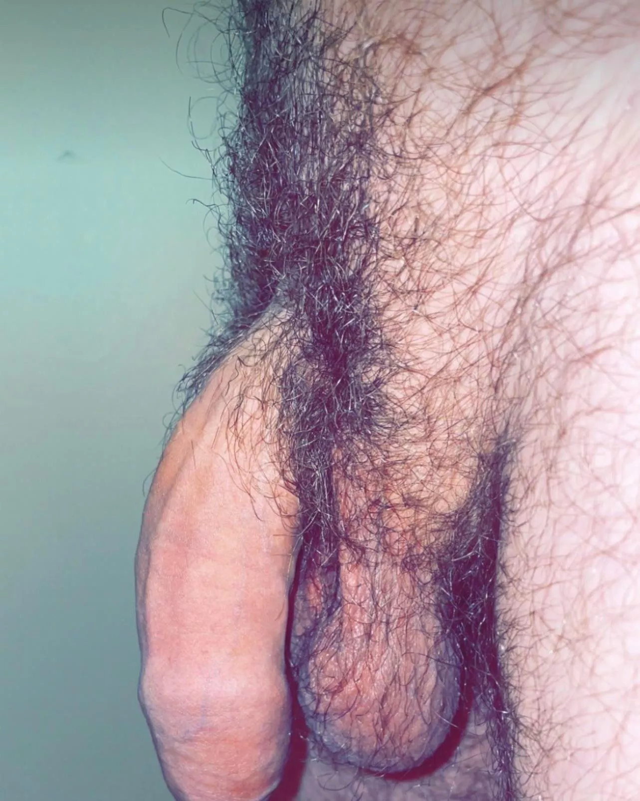 Soft. And hairy.