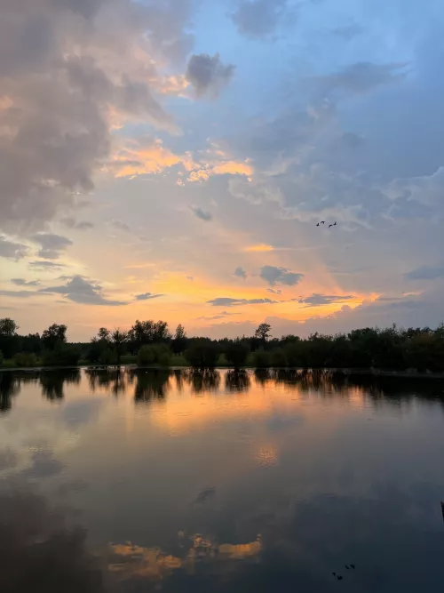 That's the magic moment of the day without any filters😍