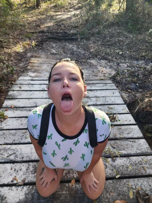 The views while hiking