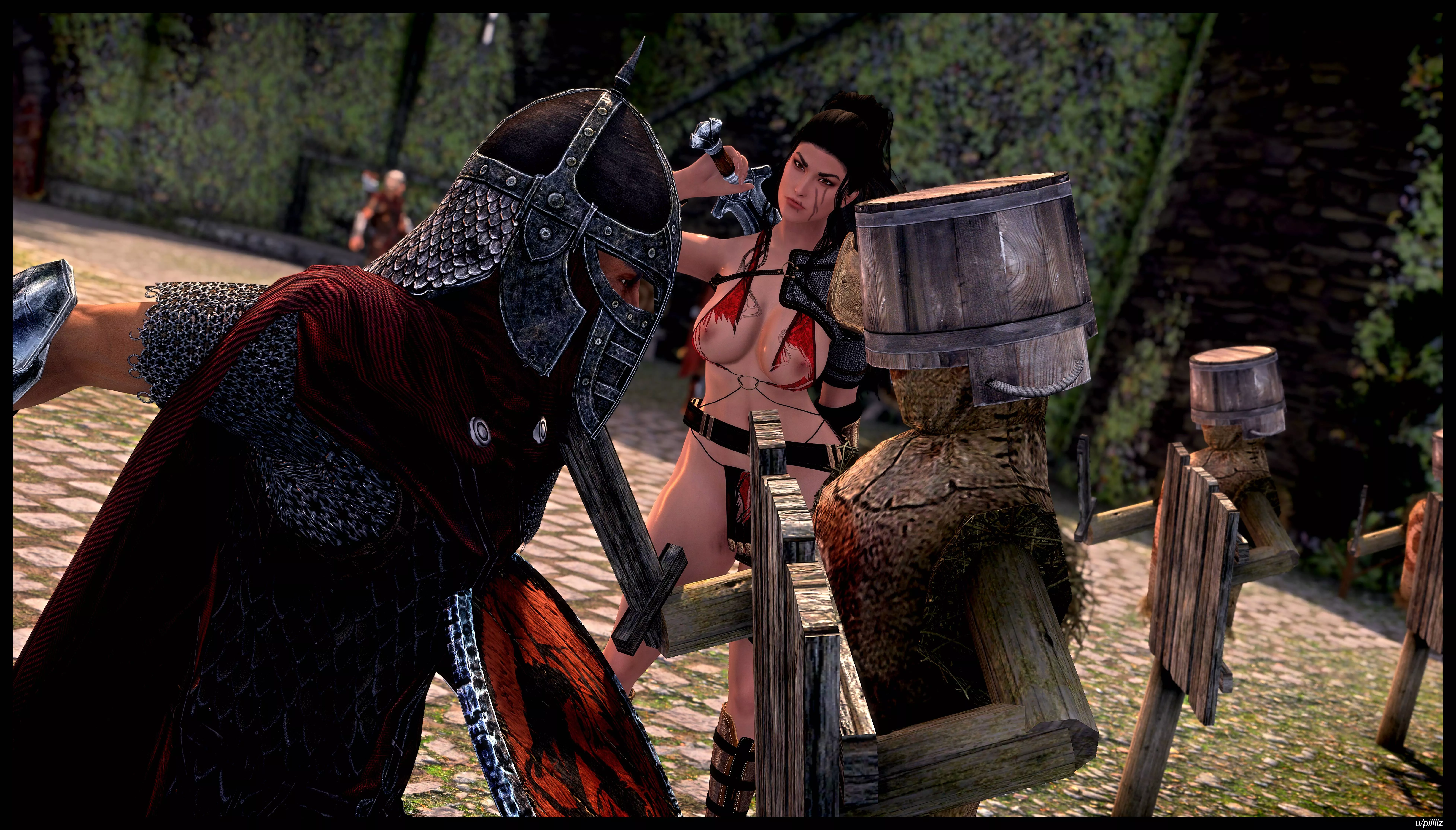 Training Guards in Solitude