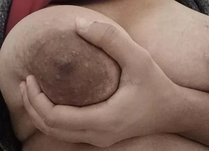 tribute this titty