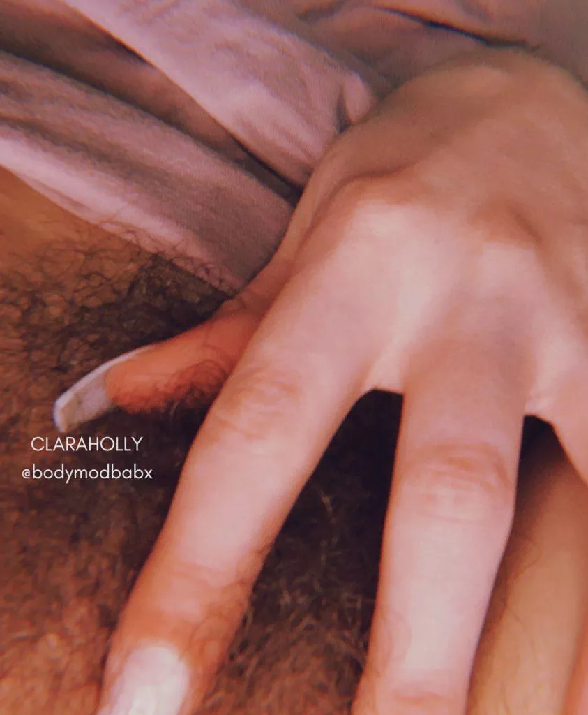 Wanna play in my bush? 🌳