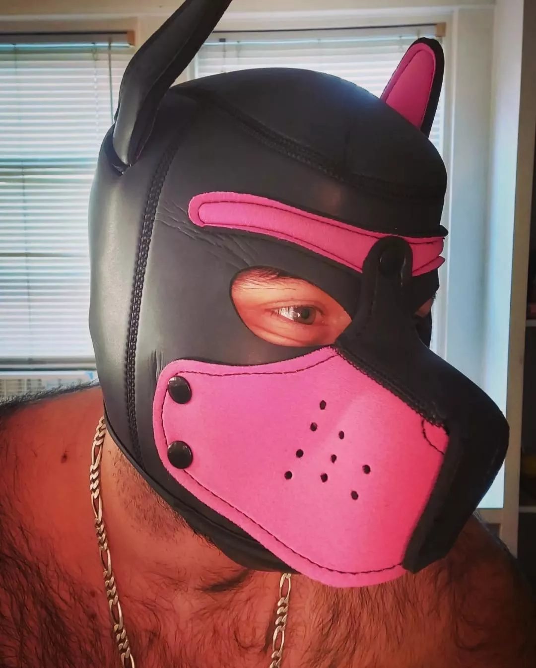 what's over there 🐾🐶