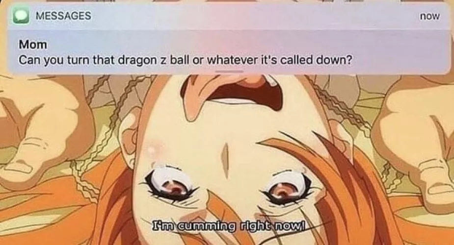 What’s the hentai?