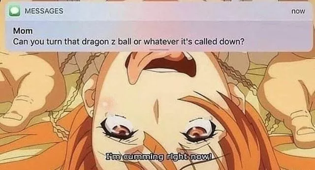 What’s the hentai?