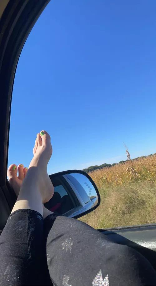 Would you rather have my feet on your lap while you drive?