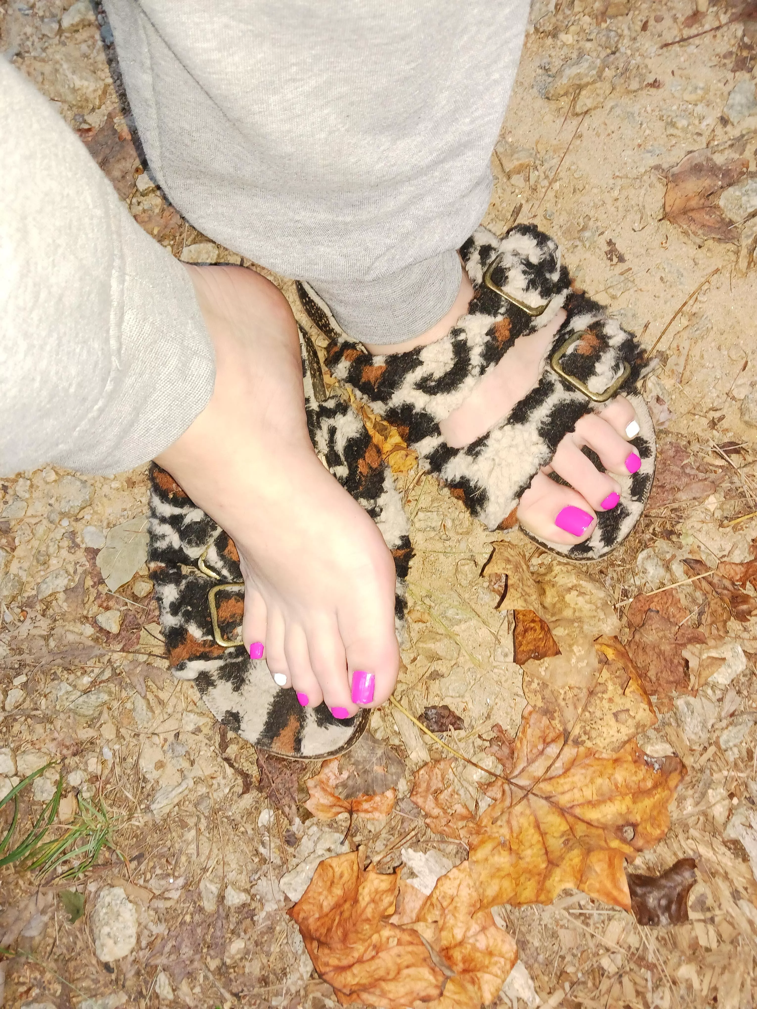 After Our walk You can Smell my Shoes (;