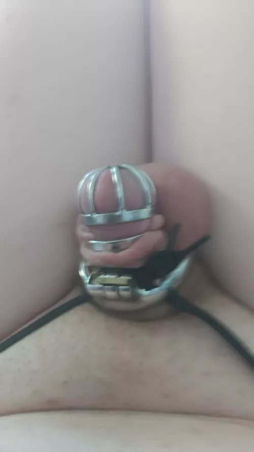 day 11 hope you all are doing well