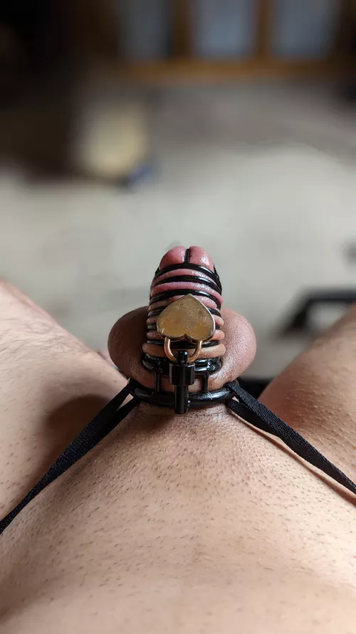 It keeps trying to get hard, but the cage says 