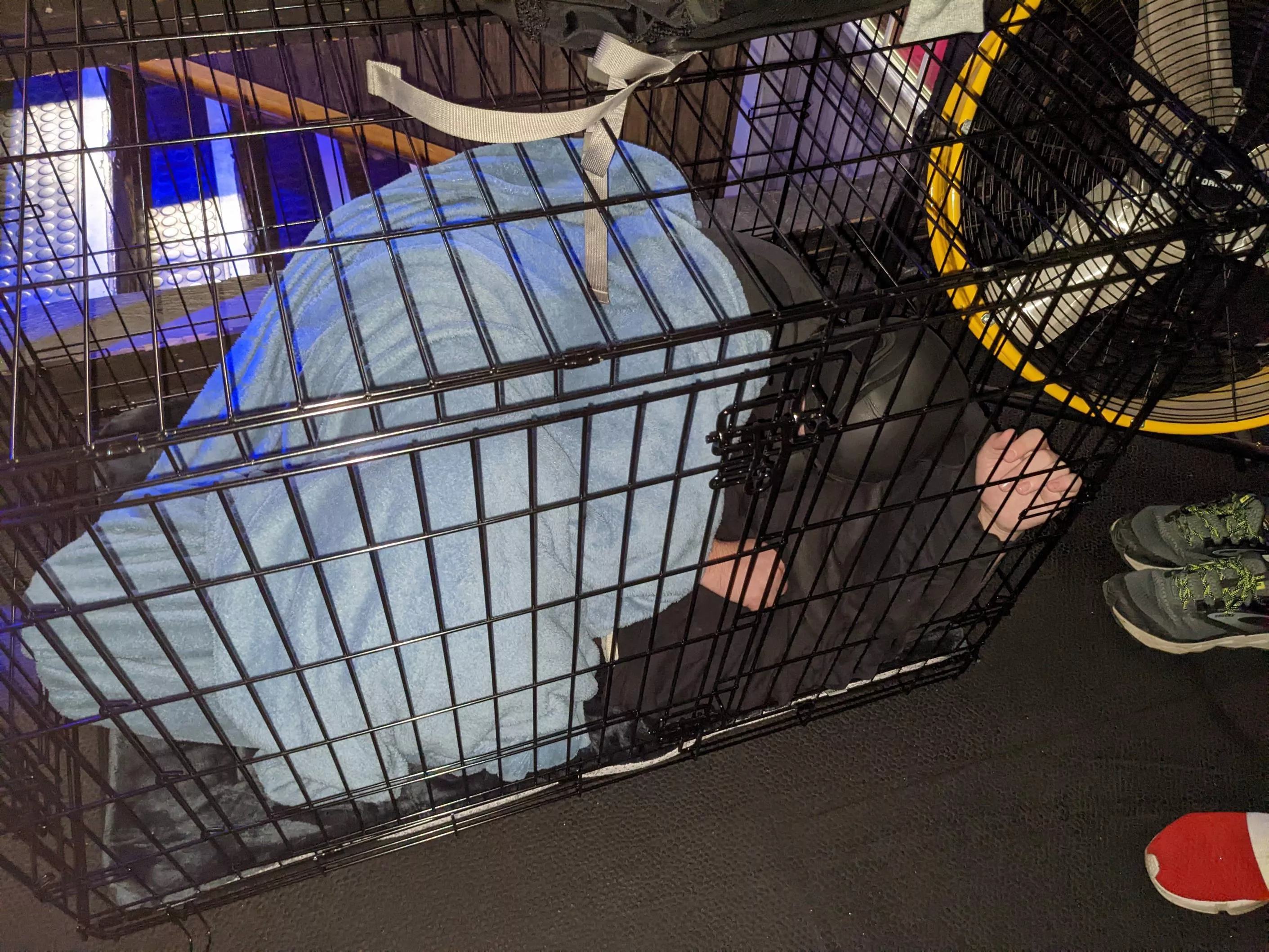 My beta was kenneled for fun at Pup Night at a local bar