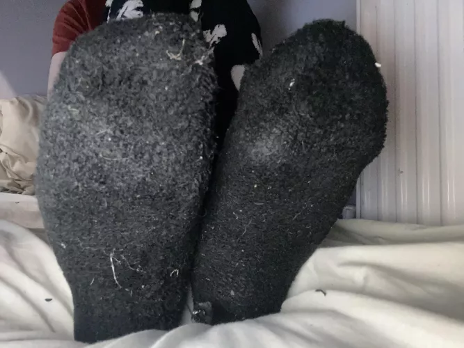 My sock drawer is always growing 🥰