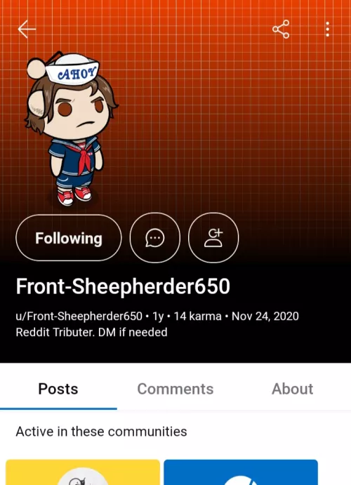 Scammer , be careful and please report