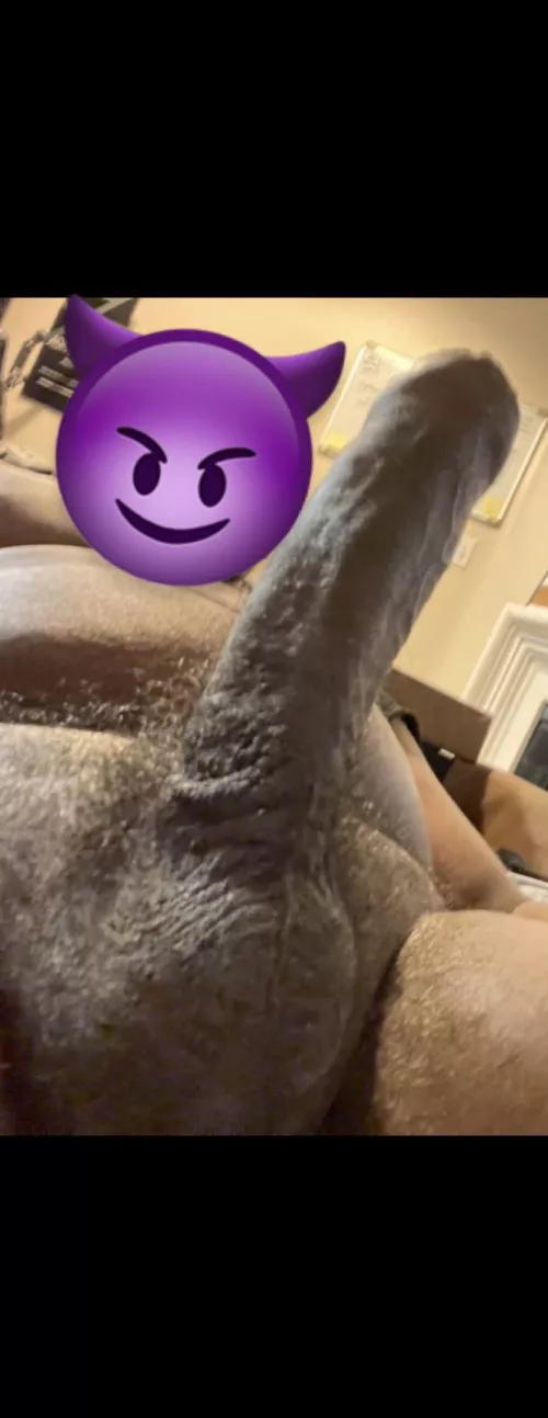 You like what you see?