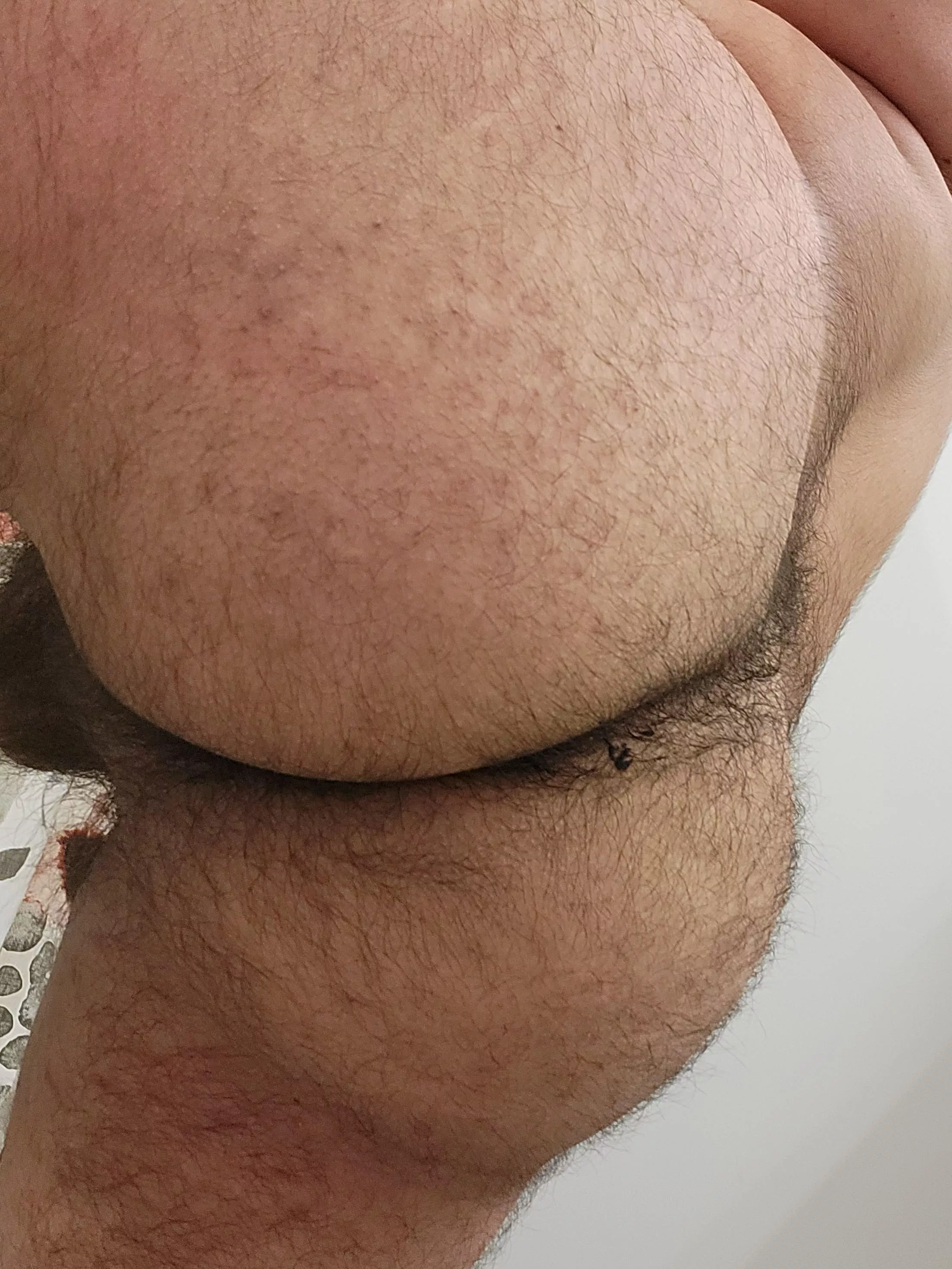 20m latino who wants to get kinky with me sc:albert_m22219