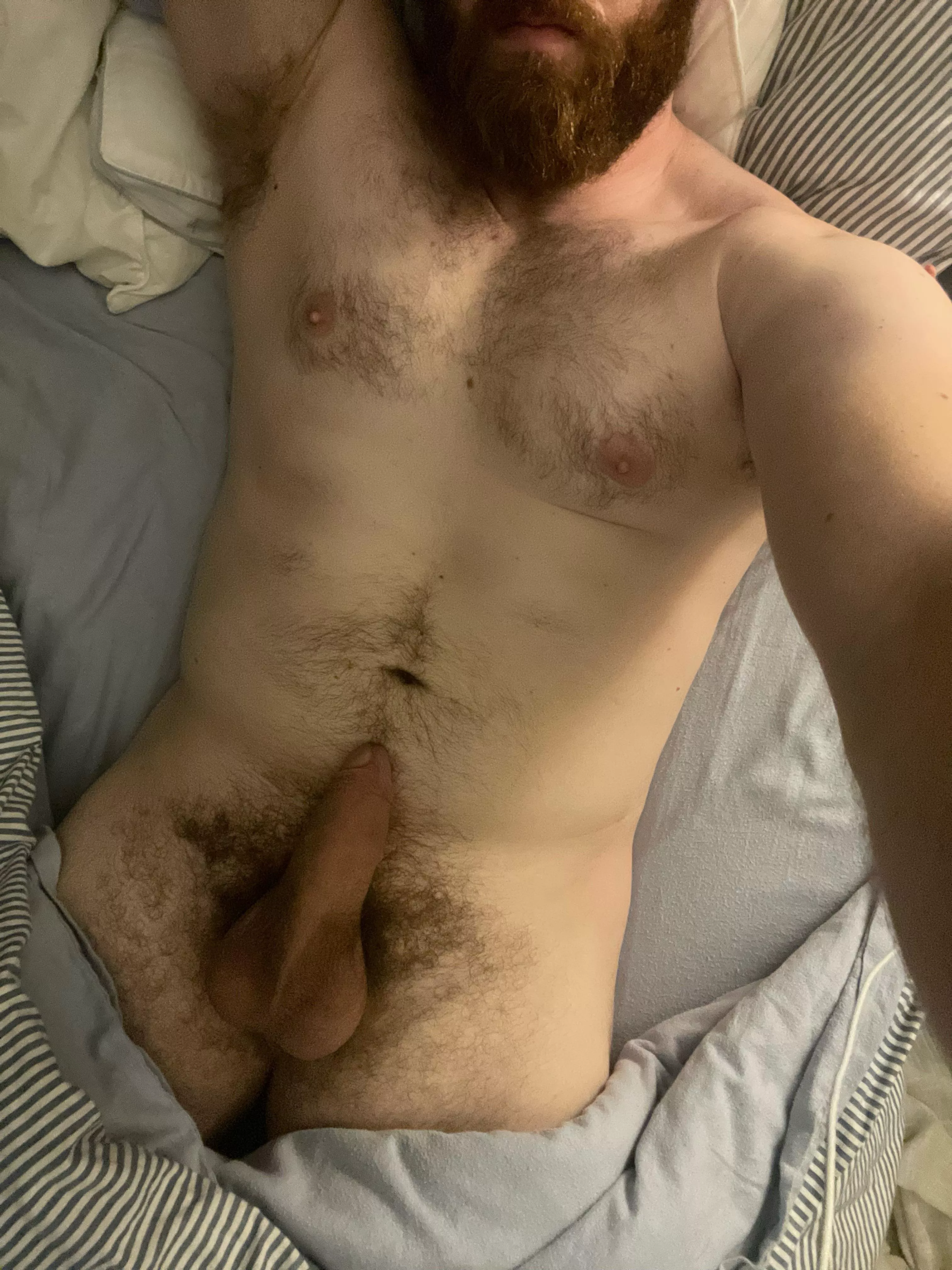 Can’t sleep cause I’m too horny. Newly out bi 29 year old and 6’5”. Say hi.