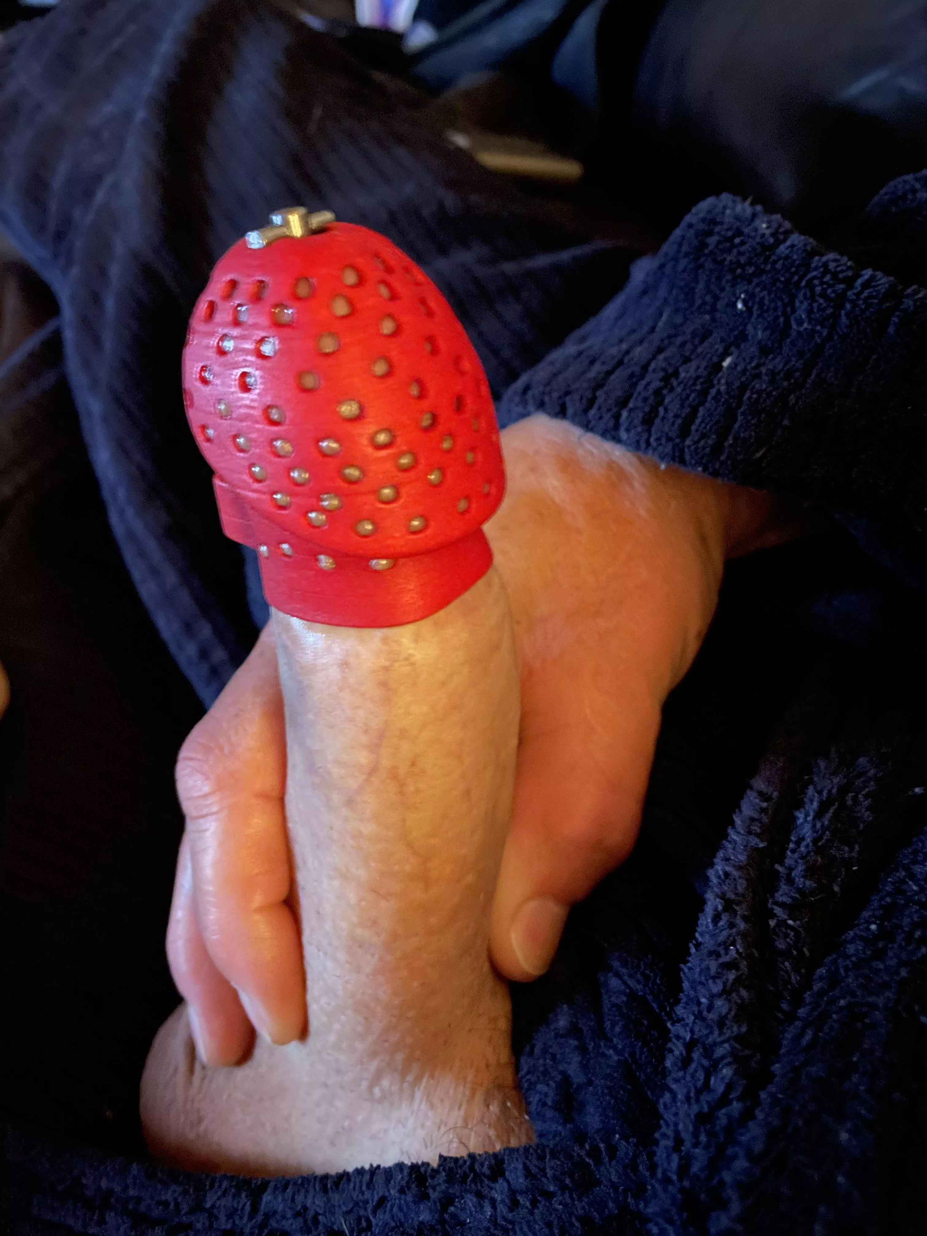 Day 12 need to cum please would you let me out ?