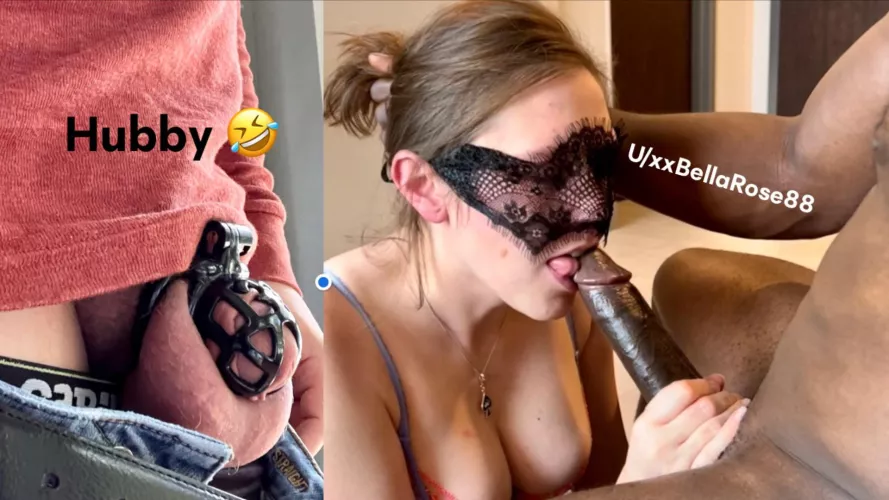 Do you wonder why your in a cage? I don’t. Are you happy with your situation? I am! 😛