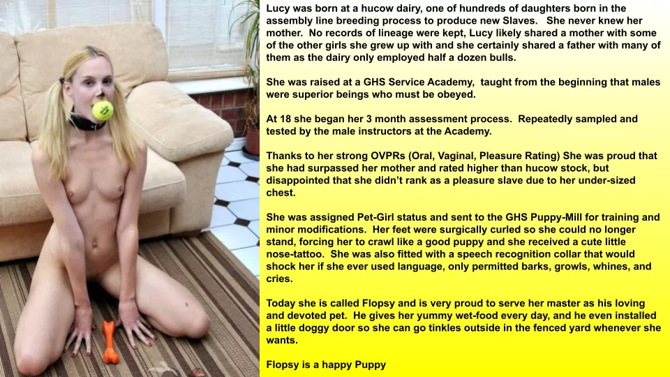 Flopsy's life is a perfect example of GHS' Breeder to Slave pipeline at work.