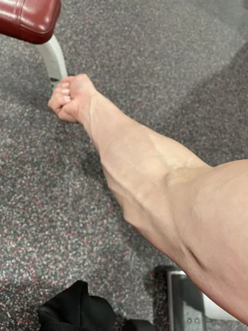 Here’s my forearm submission for the day. Enjoy