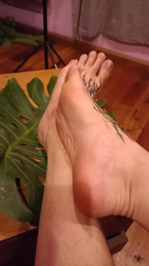 I love my tattooed feet 🤤 It really hurts and I need kisses 👉👈🥺