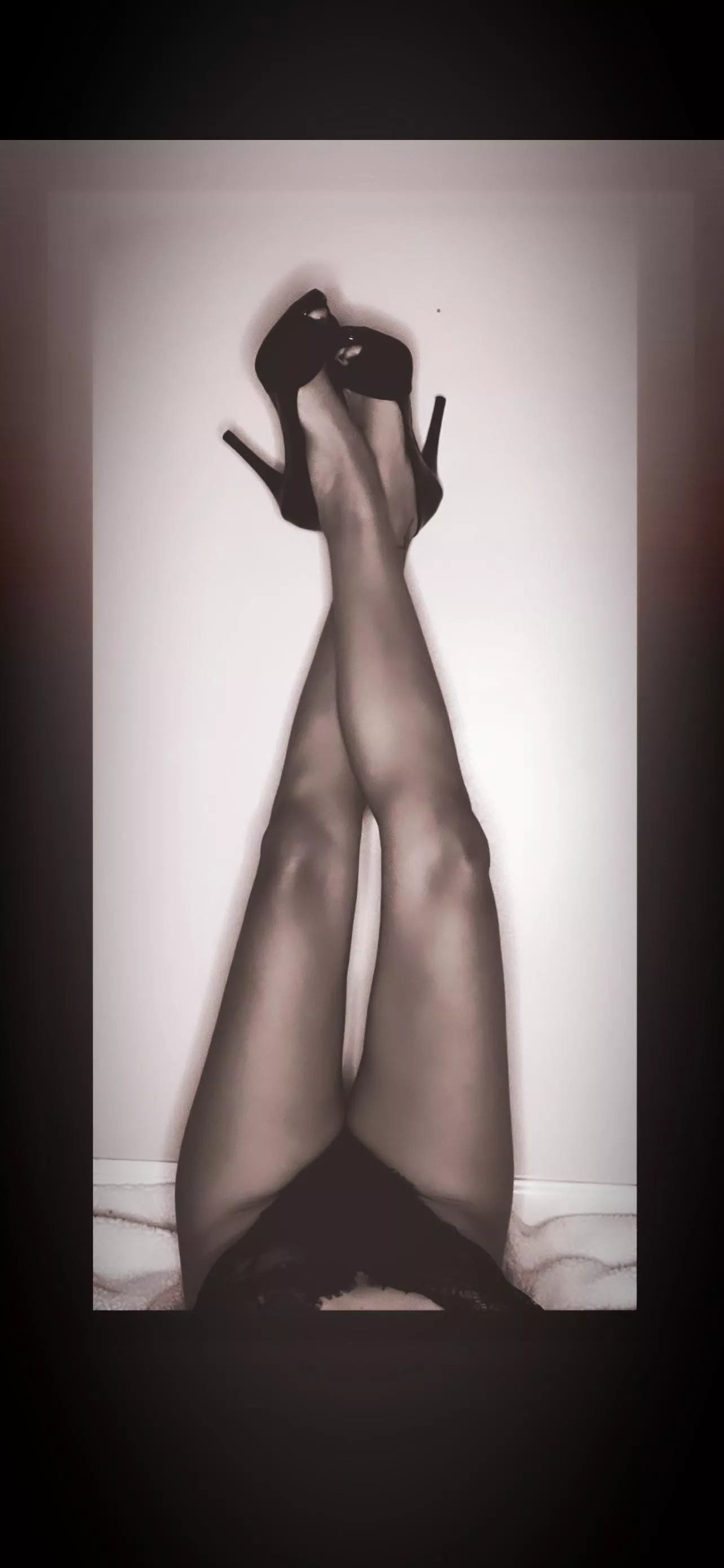 Long legs give the best views