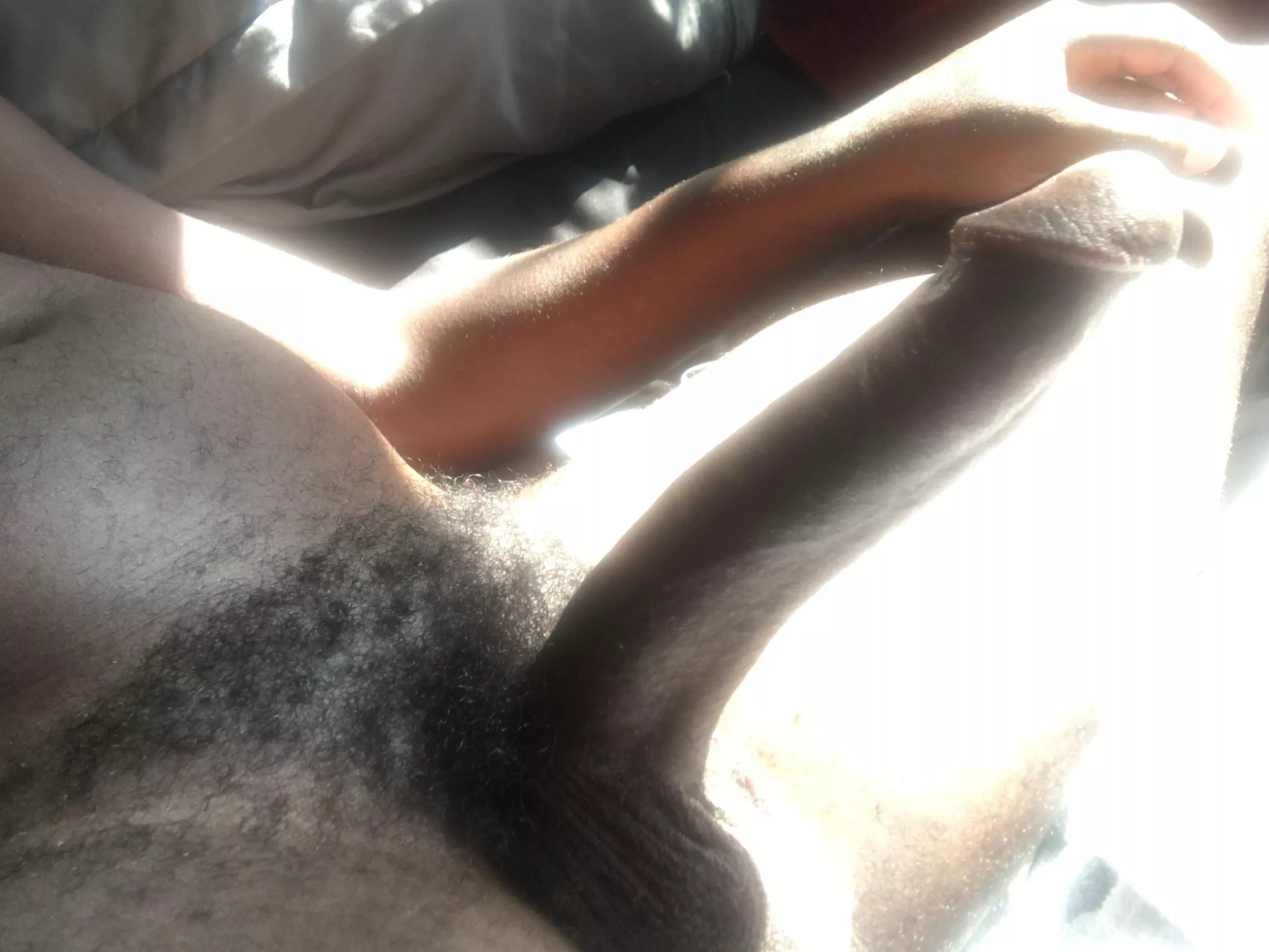 Looking for a warm mouth to lay in