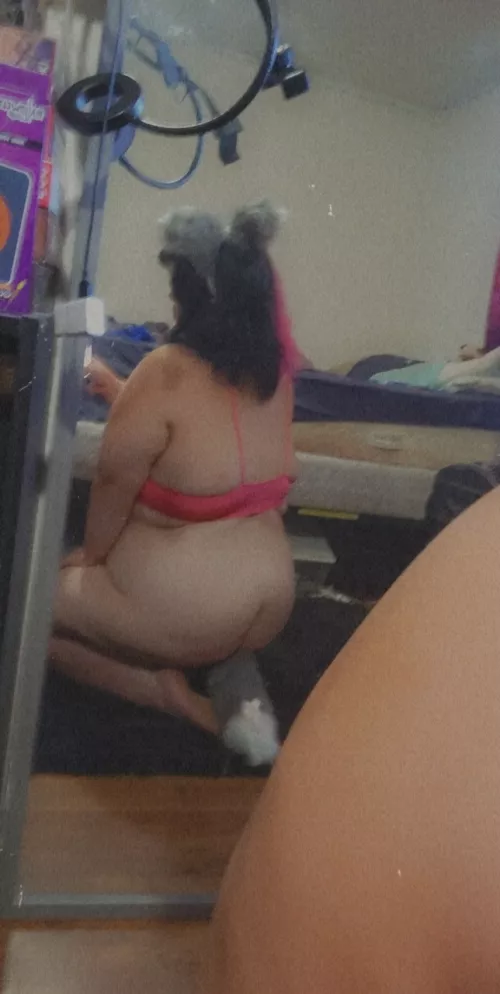 New Tail Set 🖤🦊💙