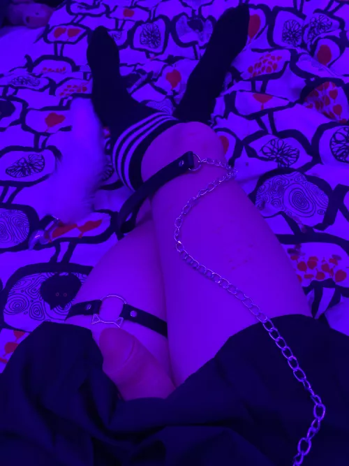 Someone please take my leash~