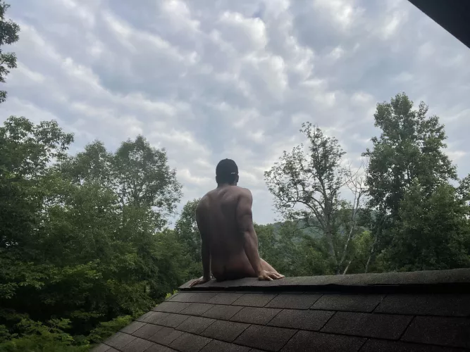 Sometimes you just have to rise above it all.