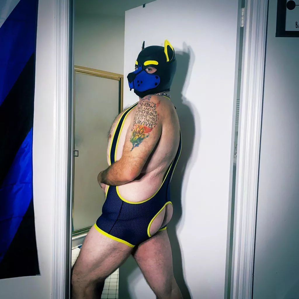 They say yellow puppies have more fun…