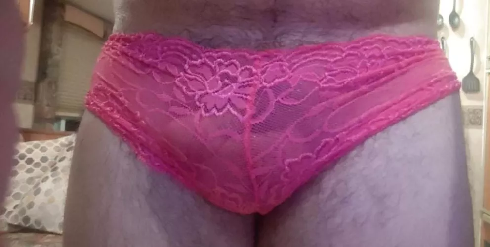 wife's panties