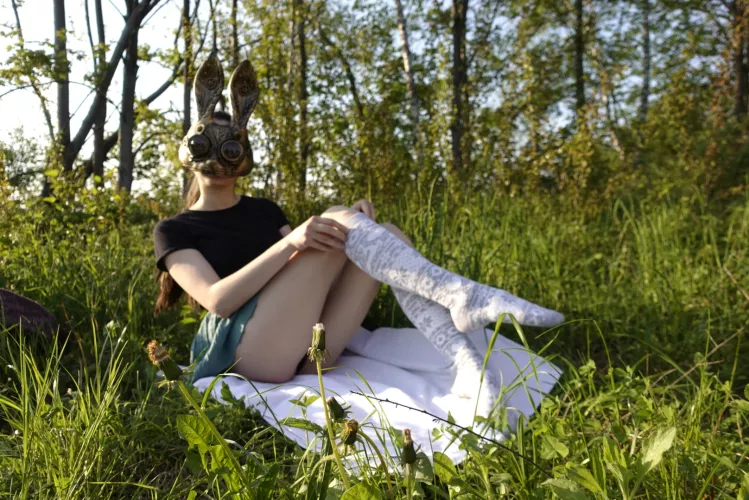 Would you play with this bunny in the high grass ?