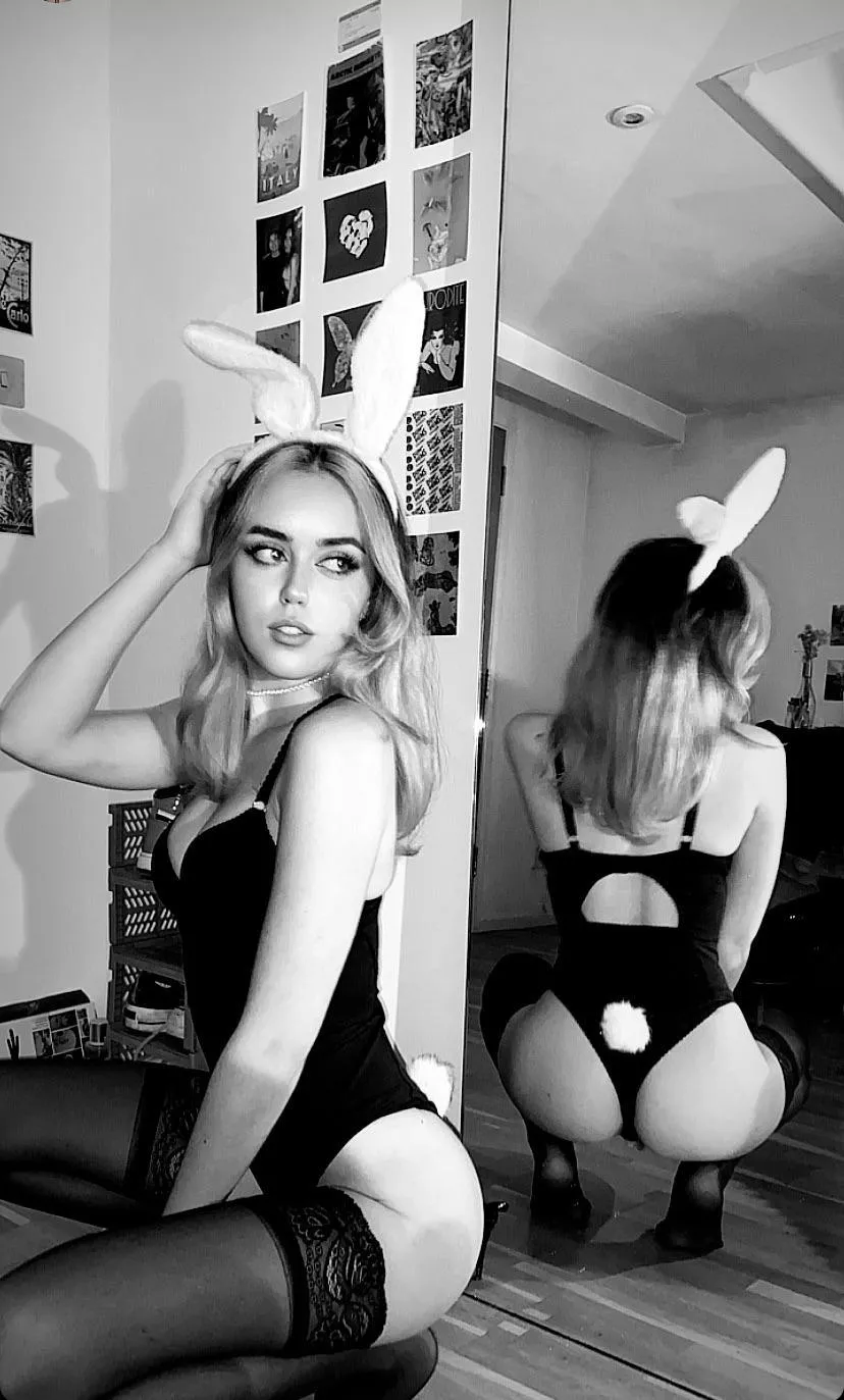 🐰
