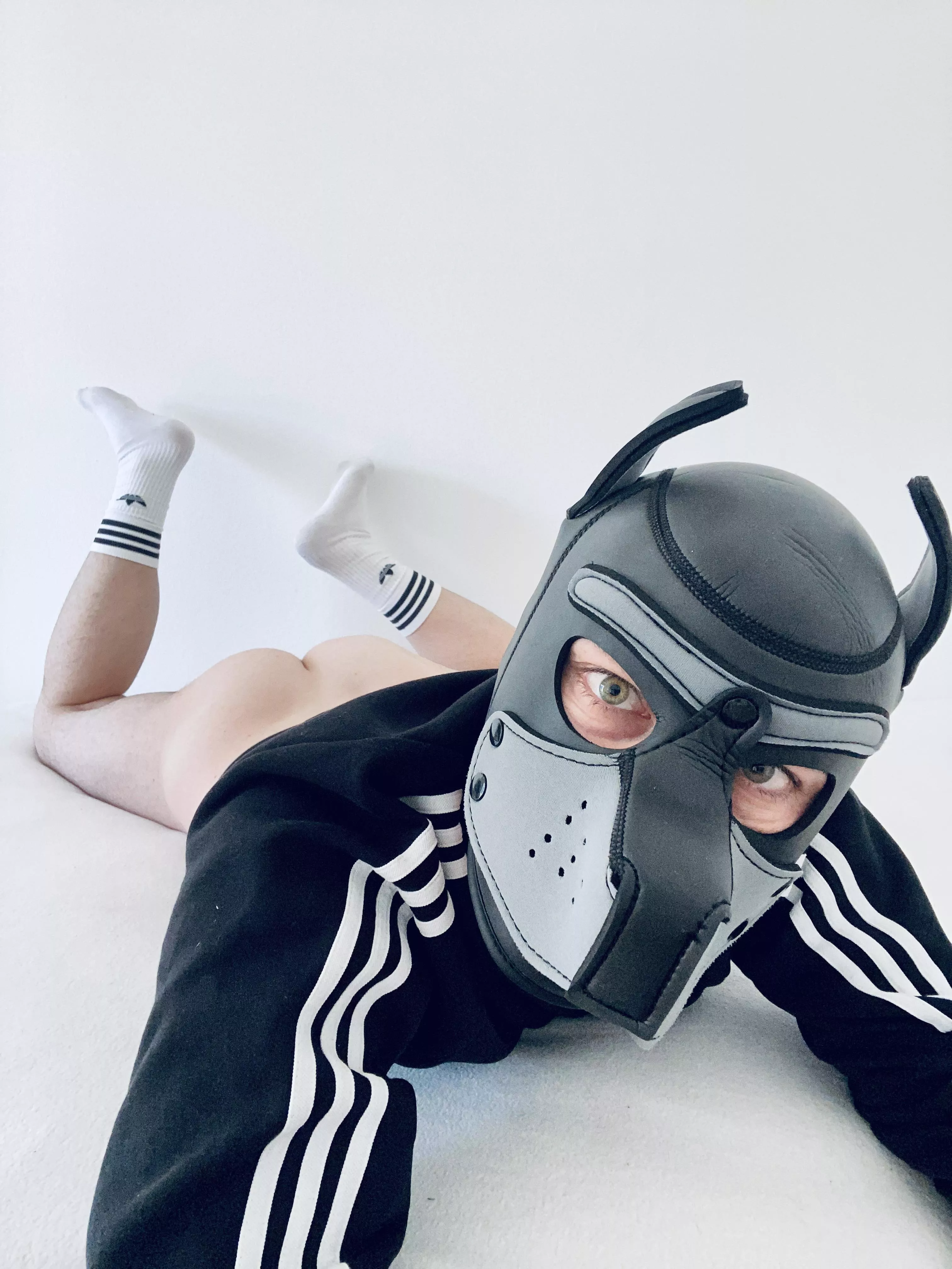 Are you looking into my eyes or at my 🍑? Both would be ok, I will lick you anyways… 🐾👅 Twitter: @lace_pup