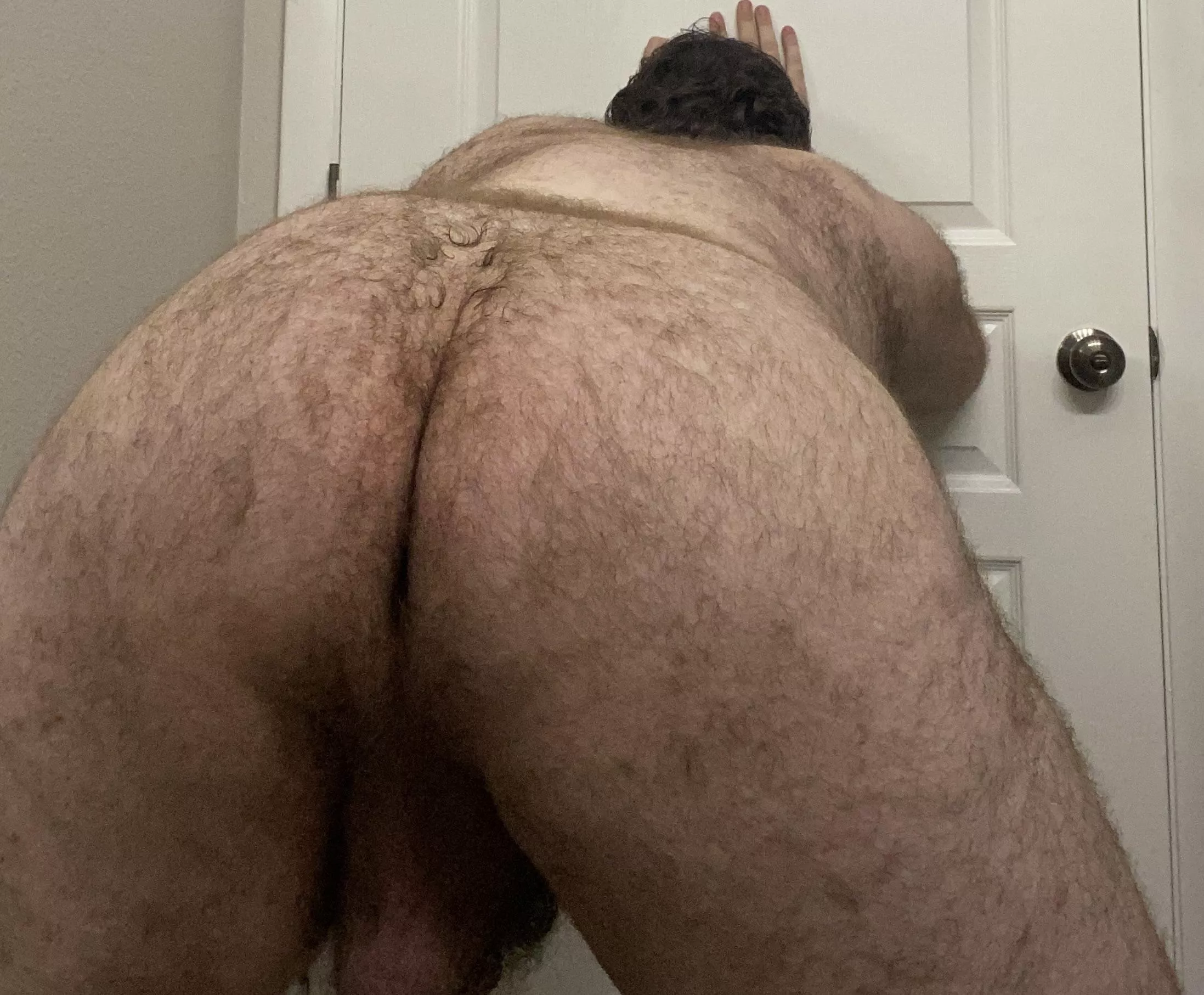 Come play with my hairy ass