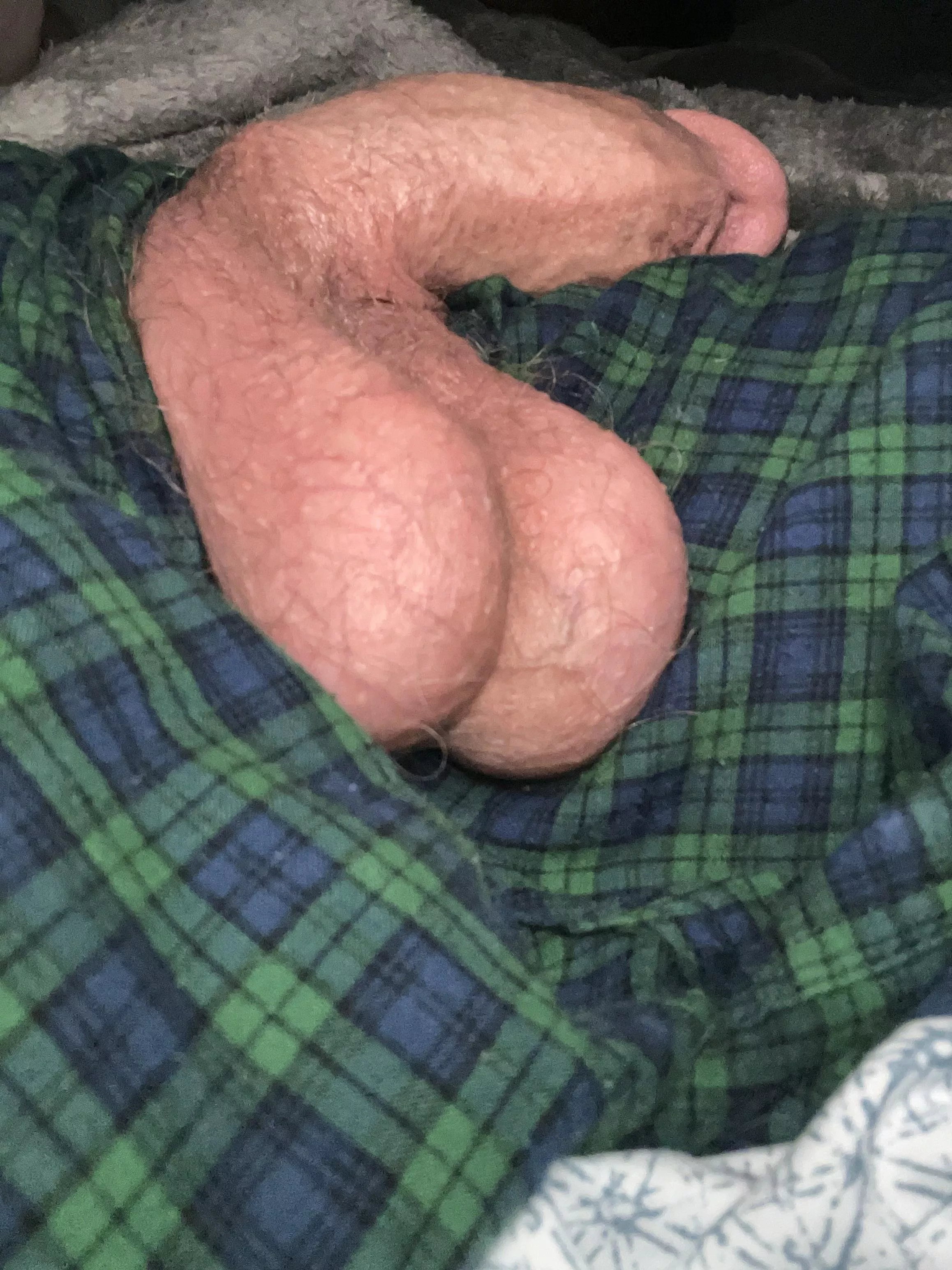 Hope my bull nuts aren’t too big for ya