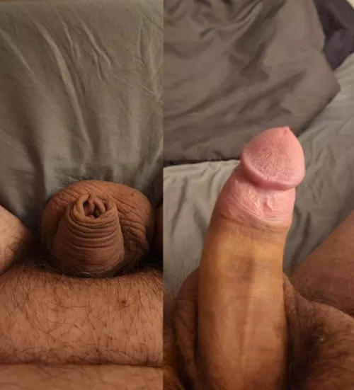 I think I'll fit in around here