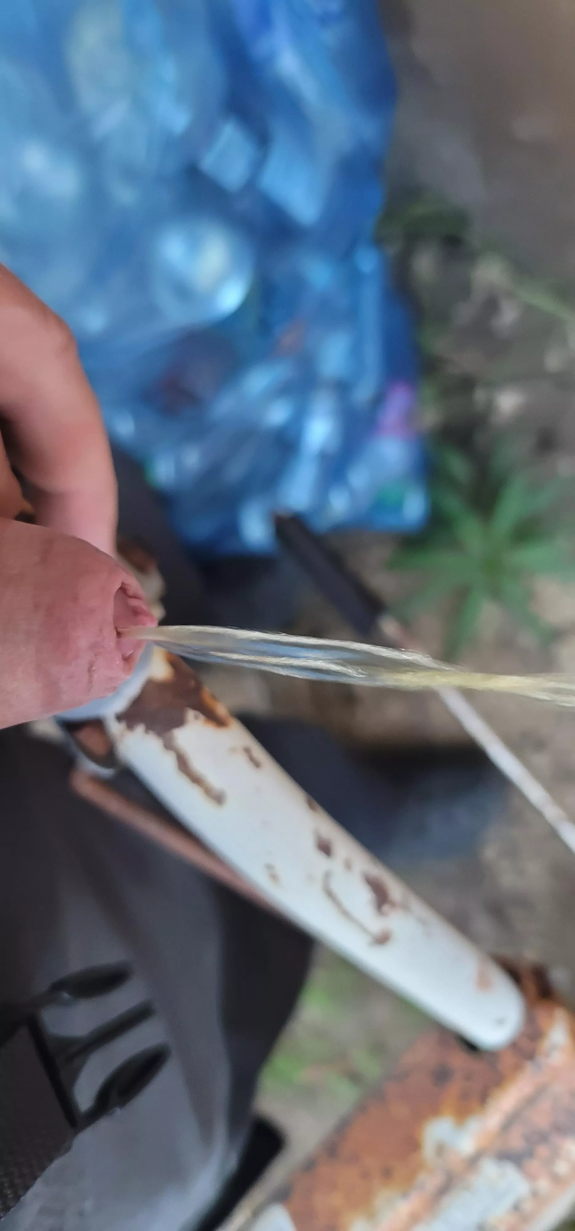 my bladder was half full and I let it go outside, what do you think?