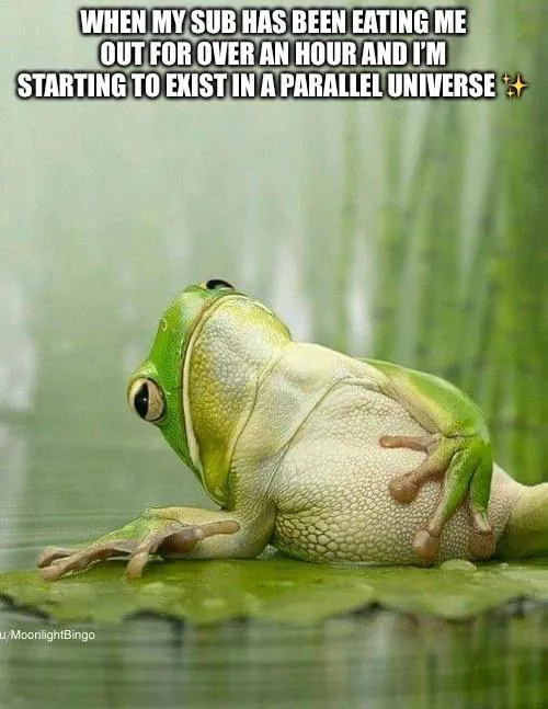 Reincarnated as a frog, apparently 🤣🧘‍♀️😌❤️