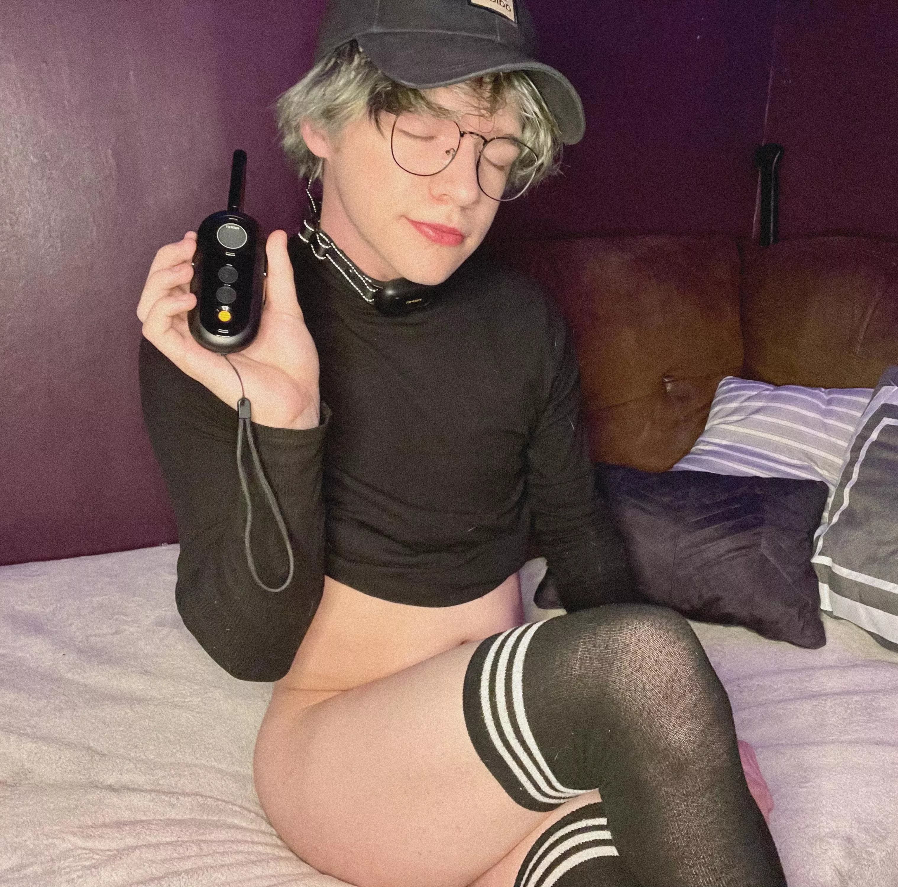 Who wants to teach me some tricks with my shock collar? 🐱