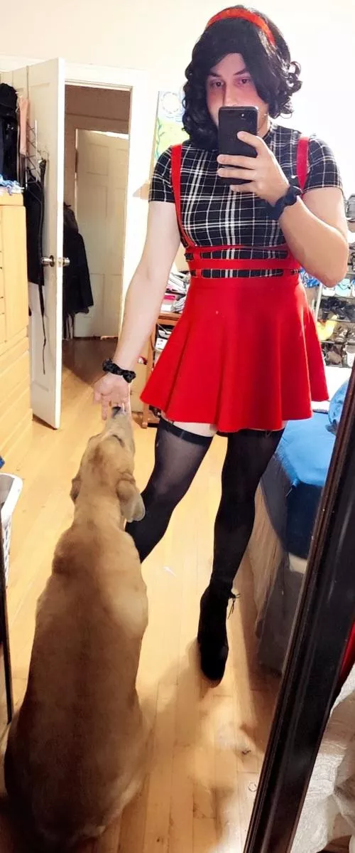 A big Potato/Pupper decided she wanted to come give me advice on my outfit🐶❤