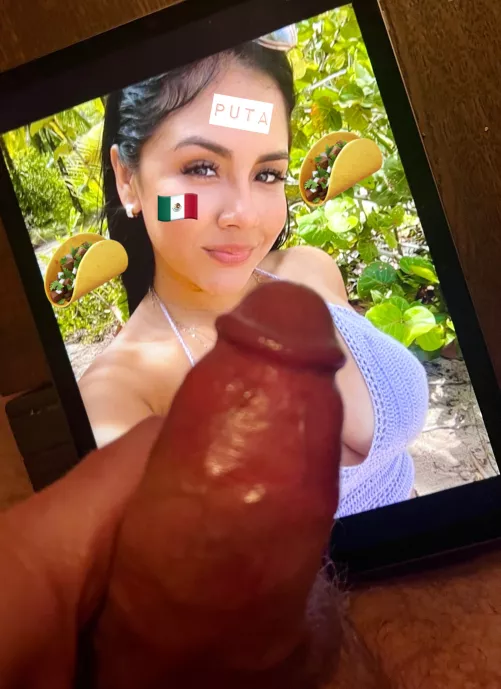 Doing cock and jerk tribs for your IRLs. See my profile for examples of my work. DM me for kik or telegram.