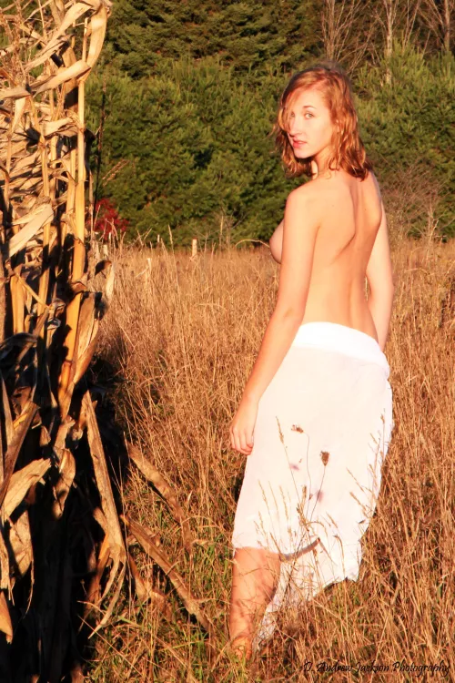 Fall in Michigan [oc]