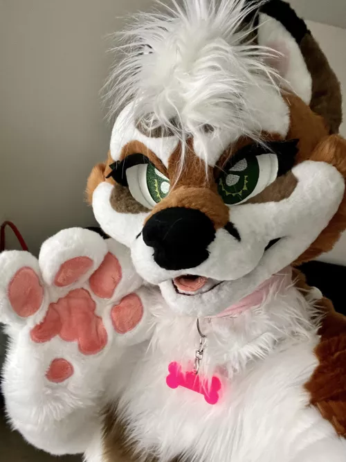 Fursuit Friyay