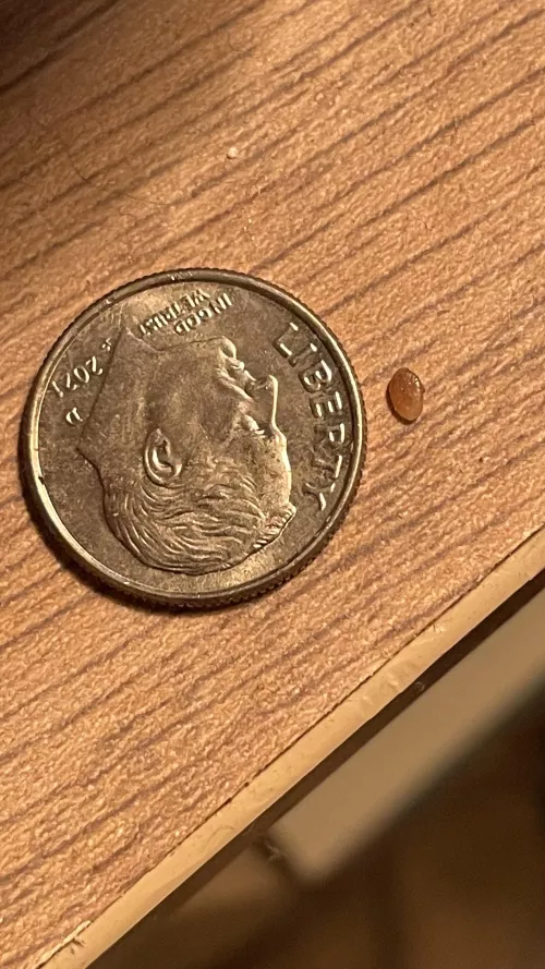 Had what I thought was a wart on my privates, after a few months this came out and the spot is healing. Anyone know what it is?