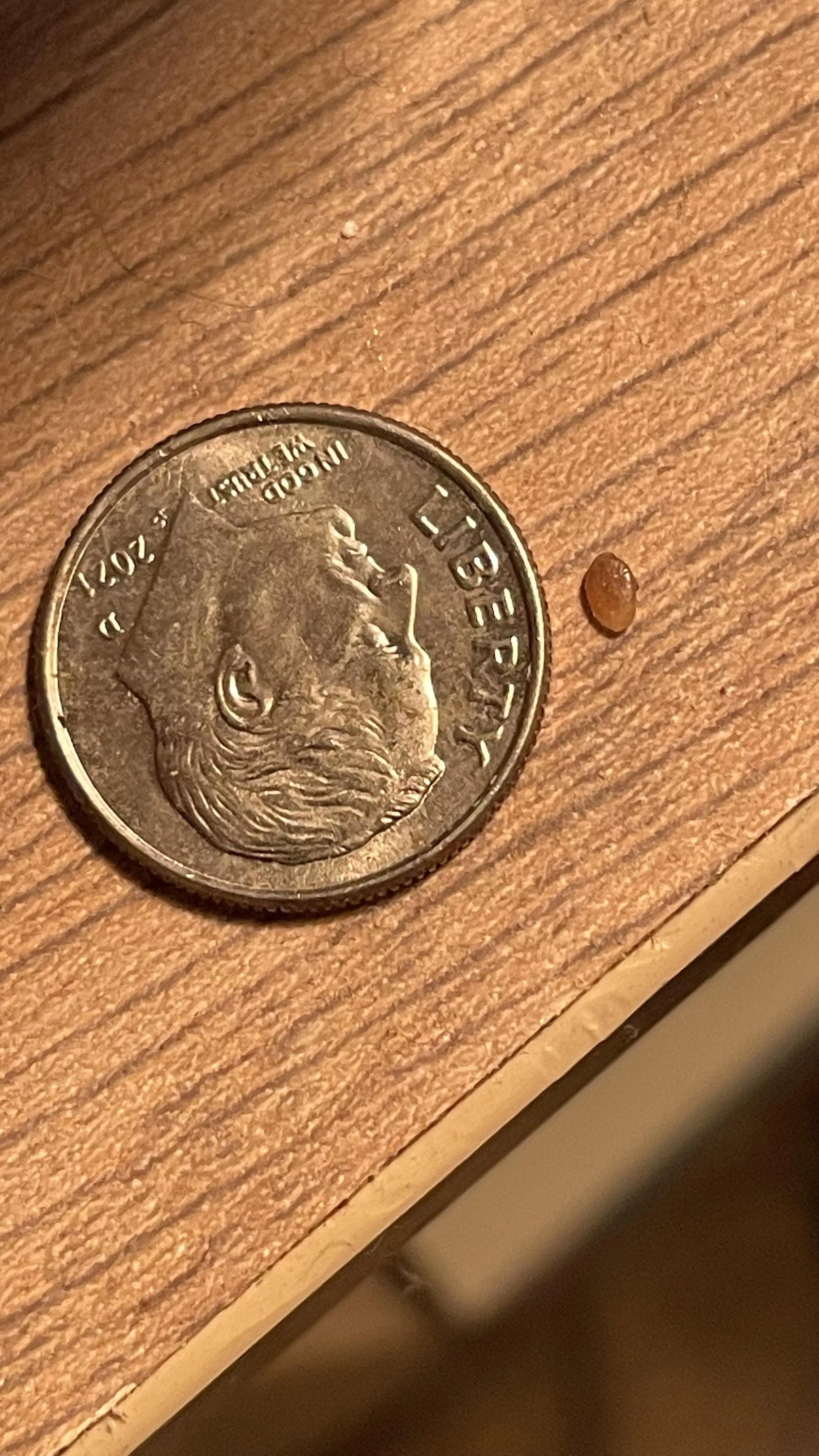 Had what I thought was a wart on my privates, after a few months this came out and the spot is healing. Anyone know what it is?