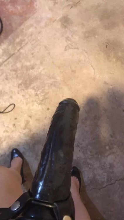 I’m ready to fuck or suck?