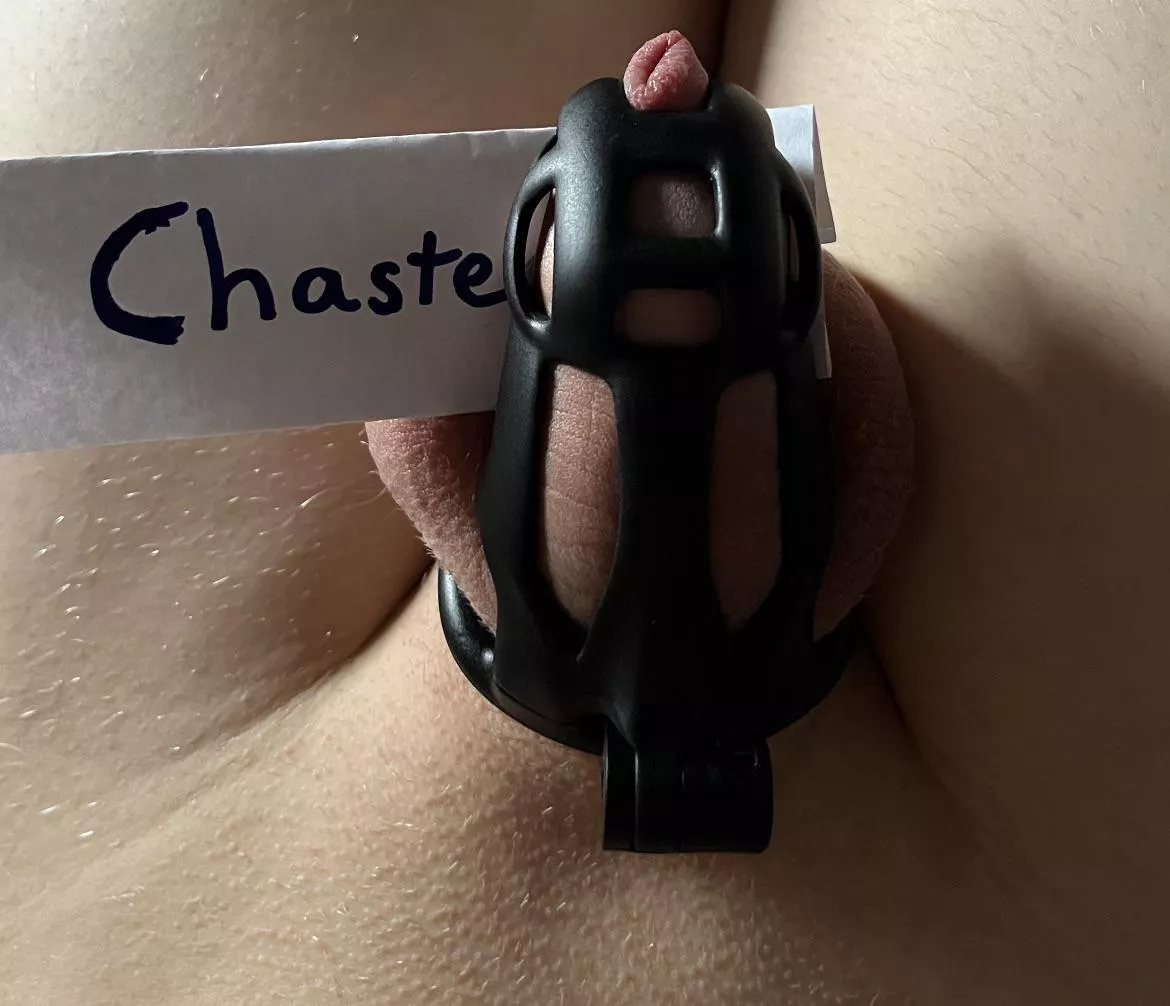 Locktober 🥰❤️🔒😘