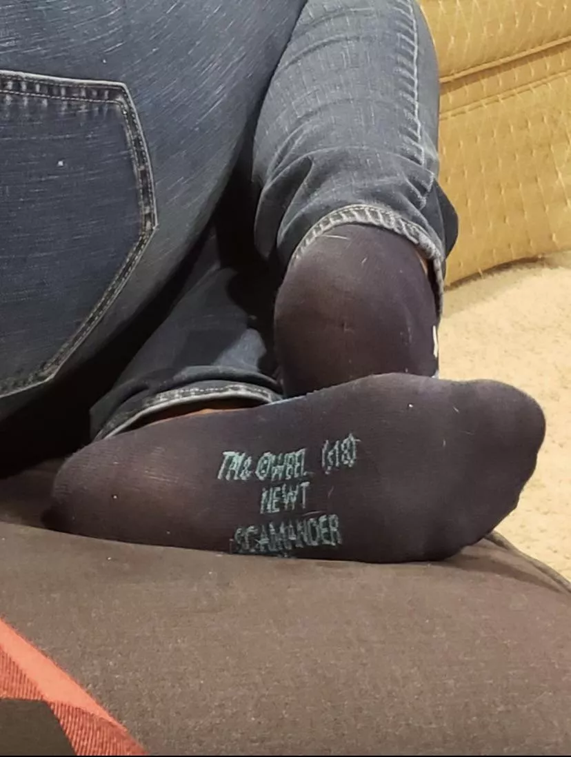 More of my wife’s socks.