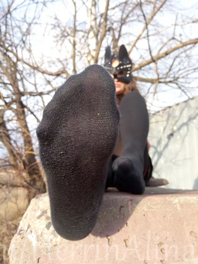 [selling] findom - femdom custom vids - pictures - sph - dickratings - online sessions, socks - nylons - items - kneesocks - tights - leggings and more!